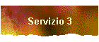 Servizio 3