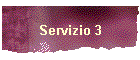 Servizio 3
